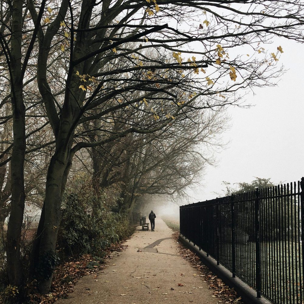 A solitary figure walks on a foggy path lined with trees and a fence in a London park.